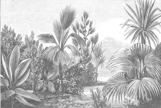 Papel Mural Bosque Antiguo