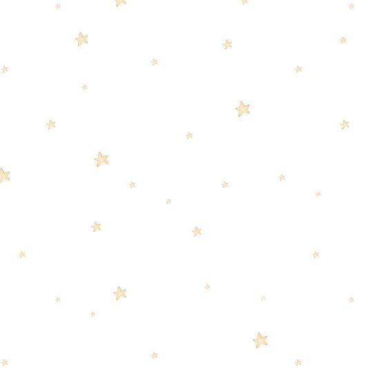 Papel Mural Cielo Estrellado