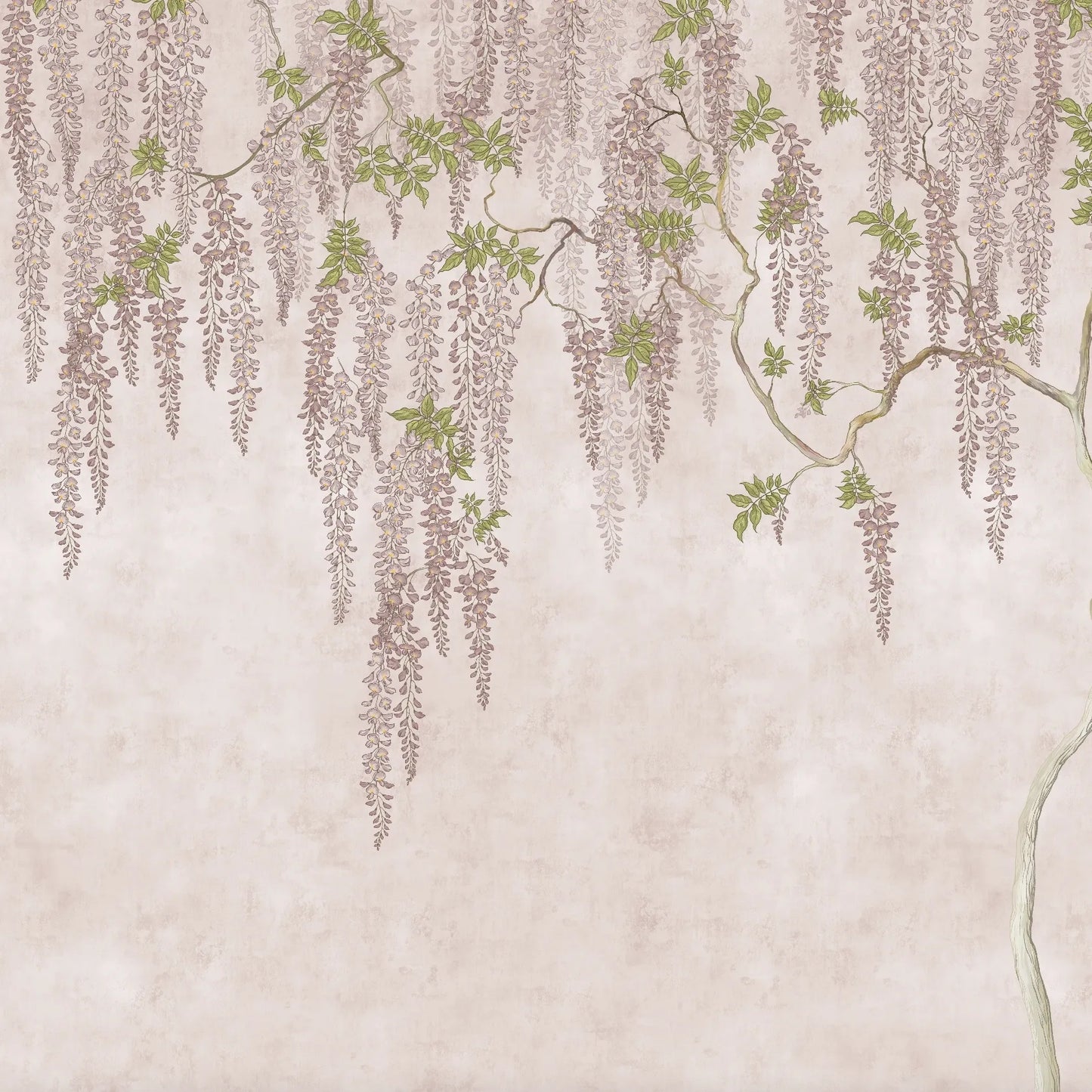 Papel Mural Flor De La Pluma Rosa