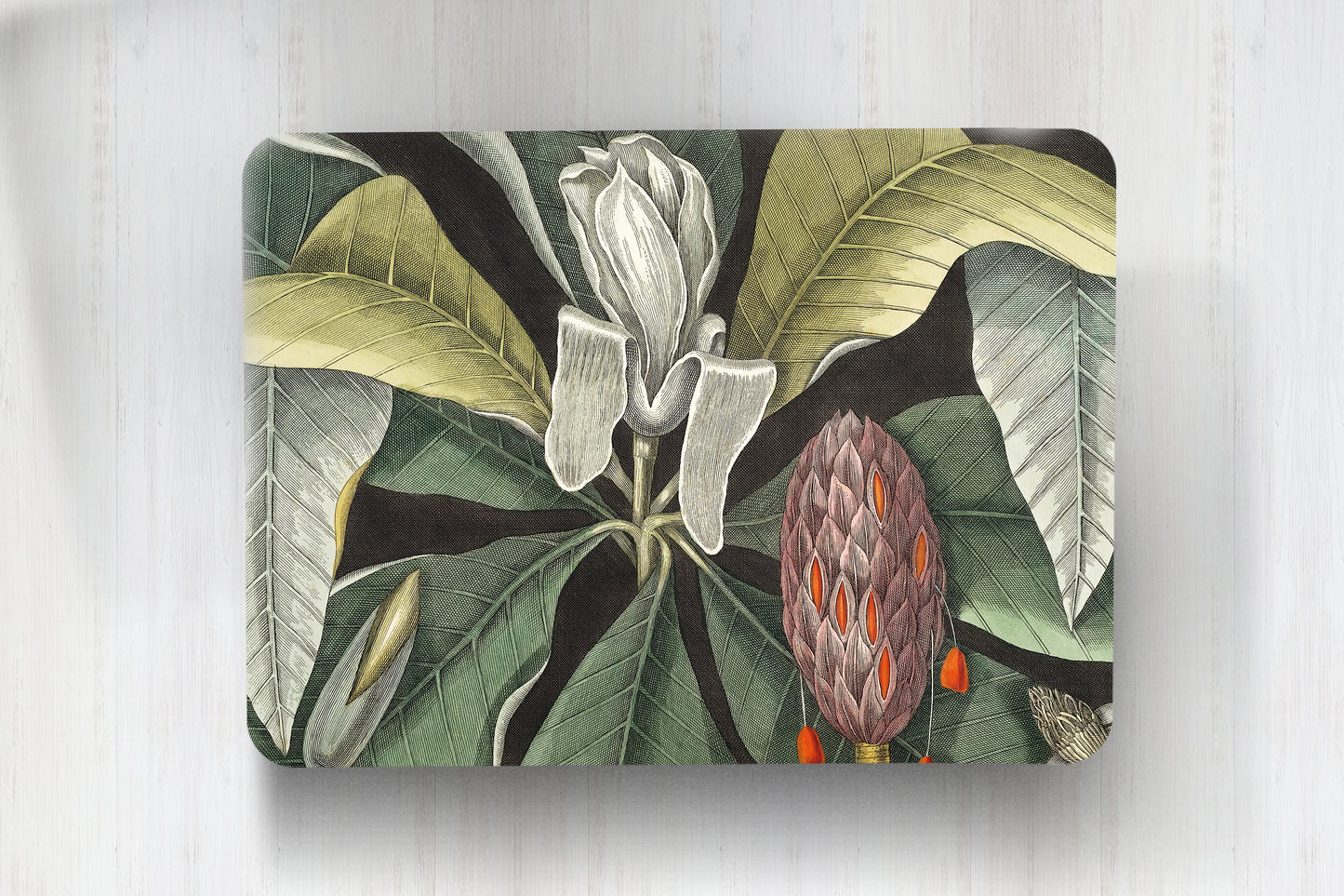 Individuales Magnolia