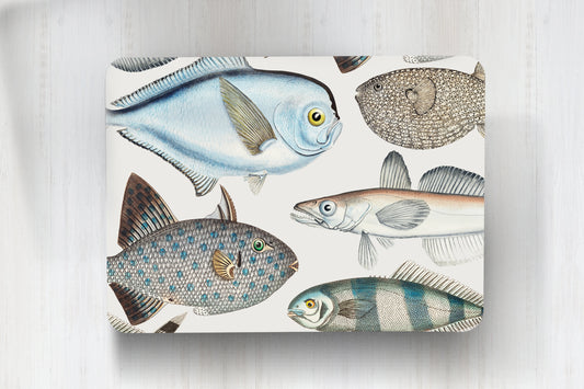 Individuales Peces
