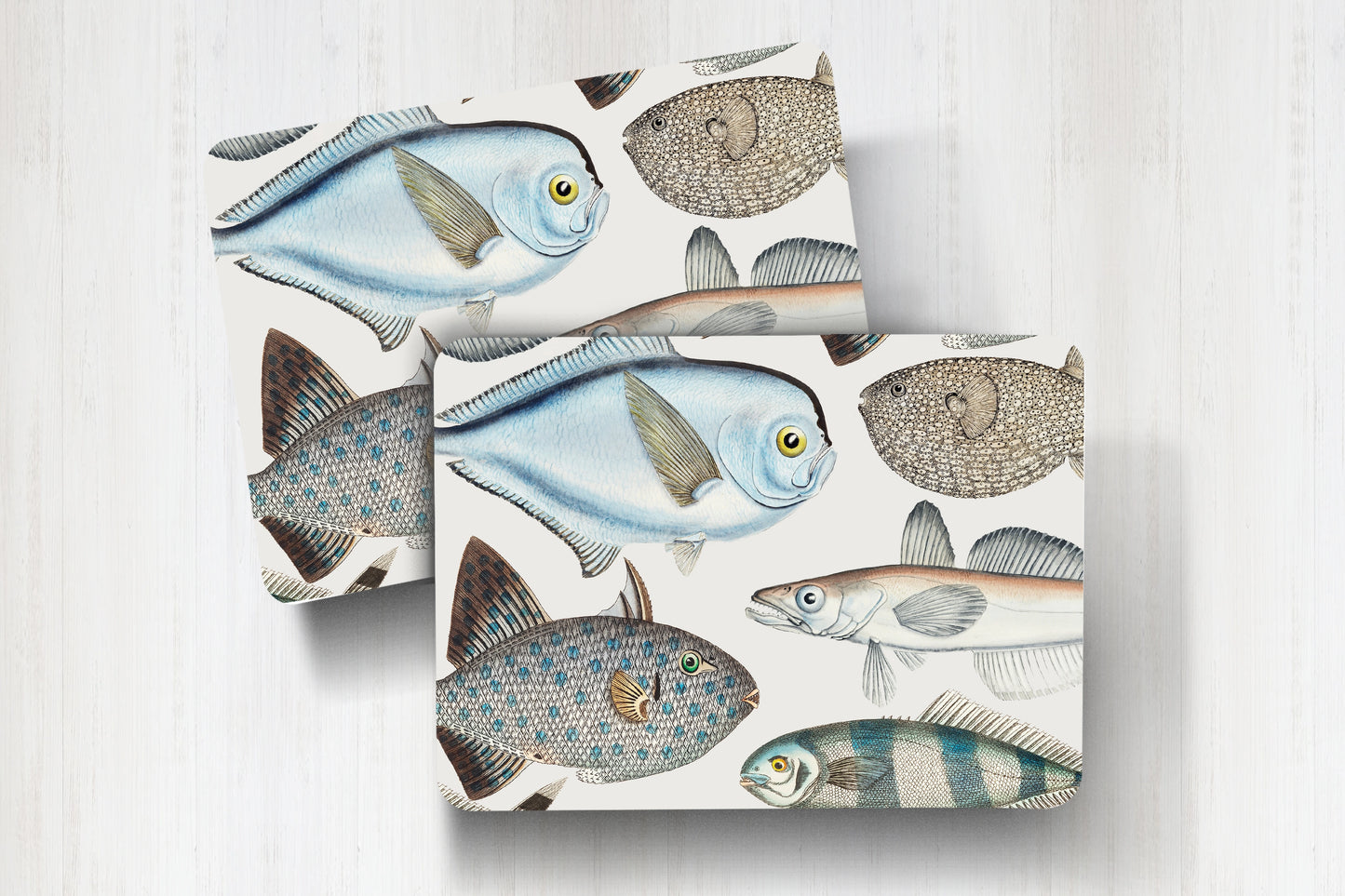 Individuales Peces