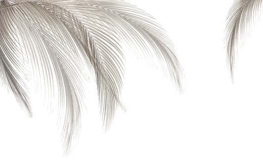Papel Mural Palmas Clara