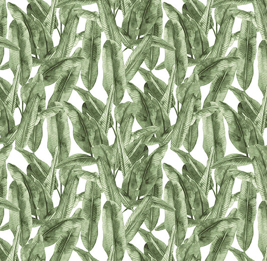 papel mural selva de hojas