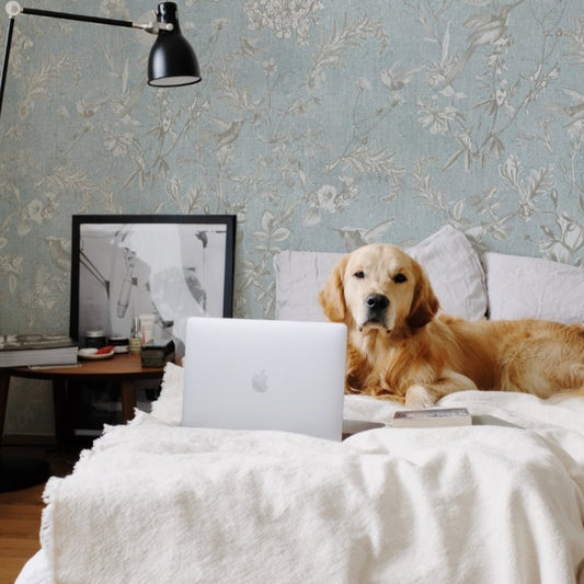 PAPEL MURAL PICAFLOR CELESTE - sietetintas