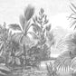 Papel Mural Bosque Antiguo