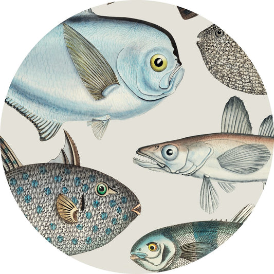 Individuales Redondos Peces