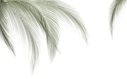 Papel Mural Palmas Verde