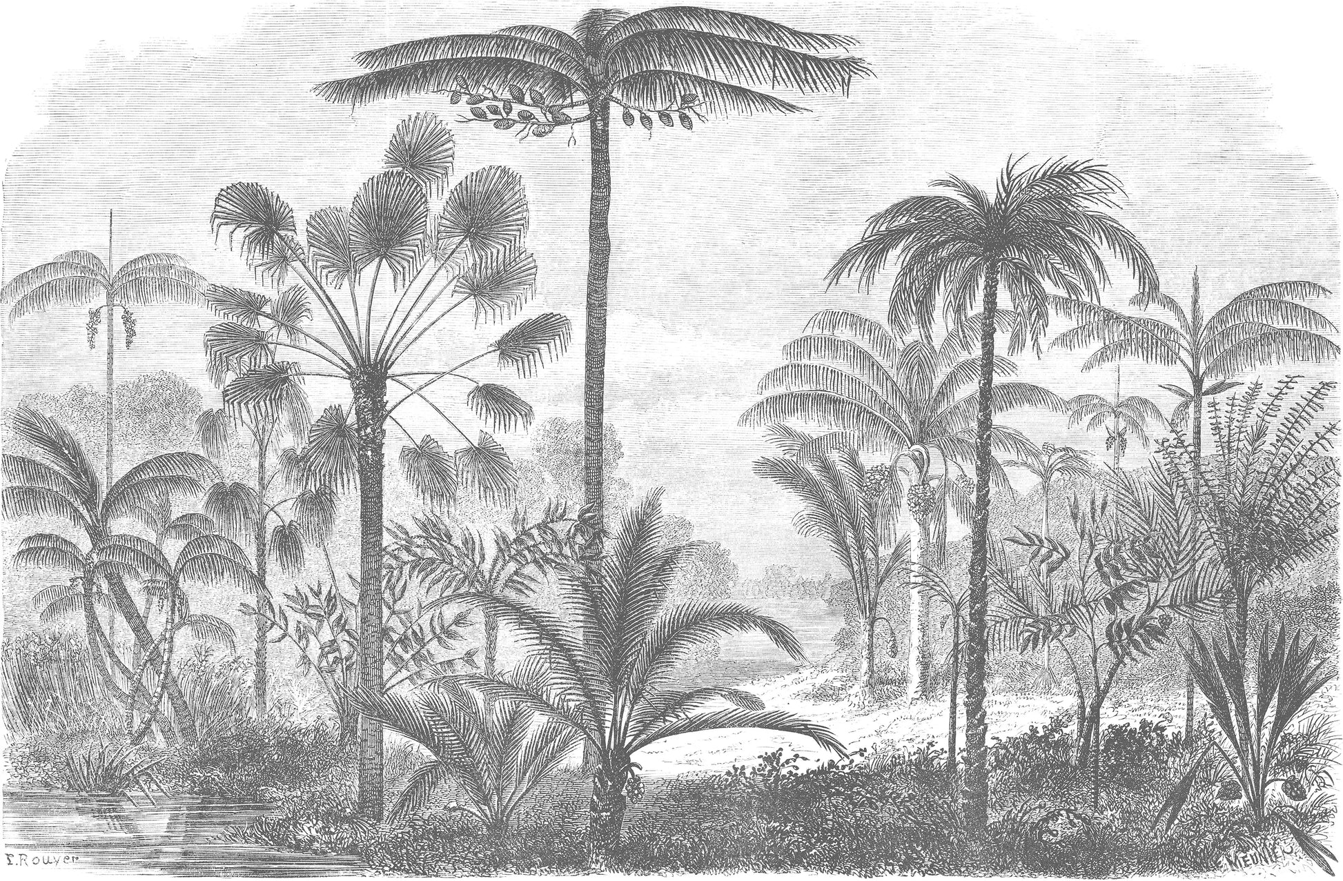 Papel Mural Selva Antiguo