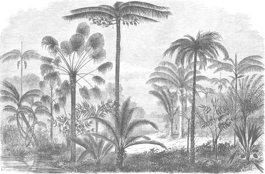 Papel Mural Selva Antiguo
