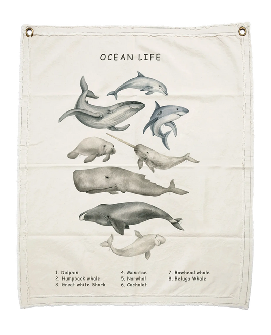 Lona Carta Ocean Life